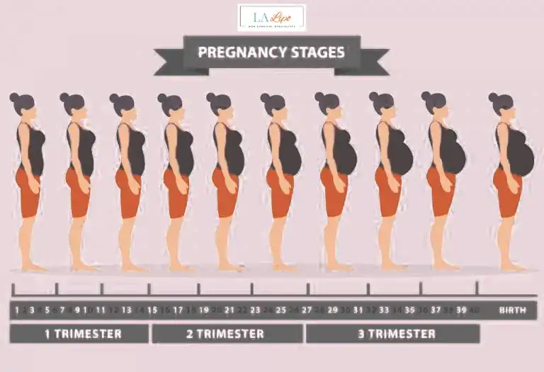 First Trimester (Weeks 1–12): Early Changes You Might Not Notice South Yorkshire